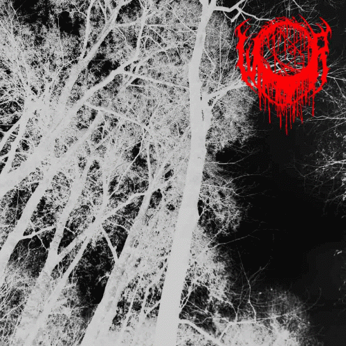 Winterr : Between Abyssal Dimensions Winterr : Between Abyssal Dimensions